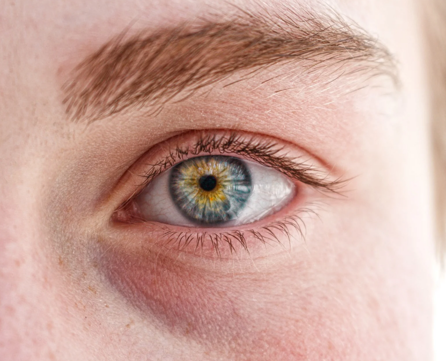 Anti Dark Circle Eye Cream Peptide Puffiness